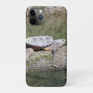 Case-Mate iPhone Case Tortue