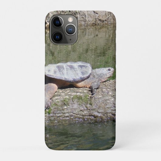 Coques Case-Mate iPhone Tortue (Dos)