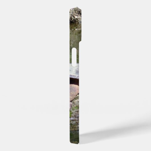 Coques Case-Mate iPhone Tortue (Verso / Droite)