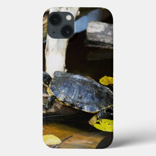 Coques Case-Mate iPhone Tortue de glisseur d'étang dans le sauvage (Verso)
