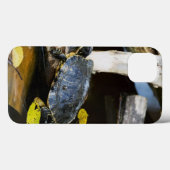 Coques Case-Mate iPhone Tortue de glisseur d'étang dans le sauvage (Verso (horizontal))
