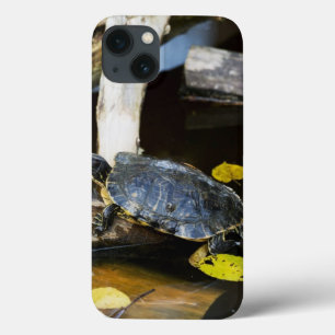 iPhone 13 Coque Tortue de l'étang dans la nature