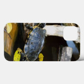 Coques Case-Mate iPhone Tortue de l'étang dans la nature (Verso (horizontal))