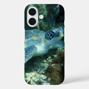 Coques iPhone 16 Tortue de mer sur la photo des fonds marins