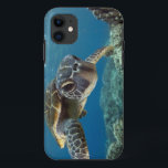 Etui iPhone Case-Mate Tortue de mer verte hawaïenne<br><div class="desc">Une tortue de mer hawaïenne de gree étudie sa réflexion dans mon port de dôme. © et ® Bigstock® - tous droits réservés.</div>