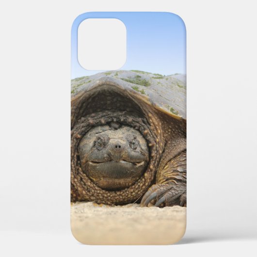 COQUES Case-Mate iPhone TORTUE DE SABLE GRIS (Verso)