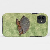 Coques Case-Mate iPhone Tortue serpentine Terrapin-lover Cadeau (Dos (Horizontal))