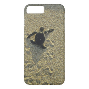 Coque iPhone 7 Plus Tortue verte, (Chelonia mydas), nouveau-né
