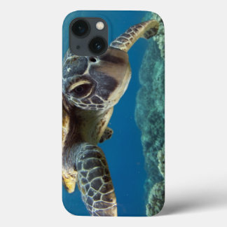 iPhone 13 Case Tortue verte hawaïenne