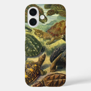 Coques iPhone 16 Tortues de mer vintage Tortue terrestre par Ernst 