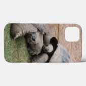 Coques Case-Mate iPhone tortues géantes (Verso (horizontal))