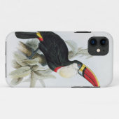 Coques Case-Mate iPhone Toucan Rouge-Affiché, 'd'une monographie du Rampha (Dos (Horizontal))