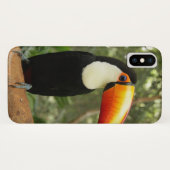 Coques Case-Mate iPhone Toucan sur branche d'arbre (Dos (Horizontal))