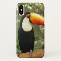 Toucan sur branche d'arbre