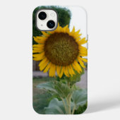 Coques Case-Mate iPhone Tournesol (Verso)