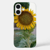 Coques Case-Mate iPhone Tournesol (Verso)