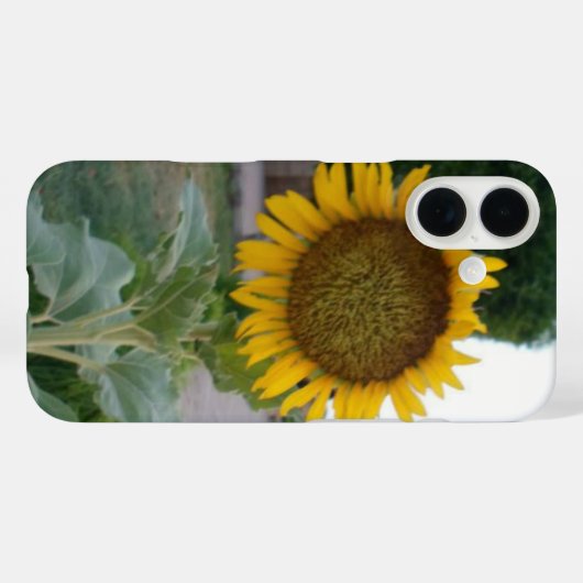 Coques Case-Mate iPhone Tournesol (Verso (horizontal))