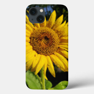 Case-Mate iPhone Case Tournesol