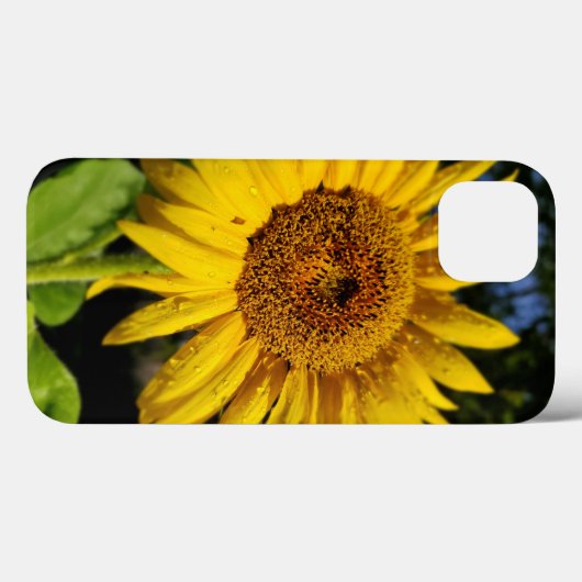 Coques Case-Mate iPhone Tournesol (Verso (horizontal))