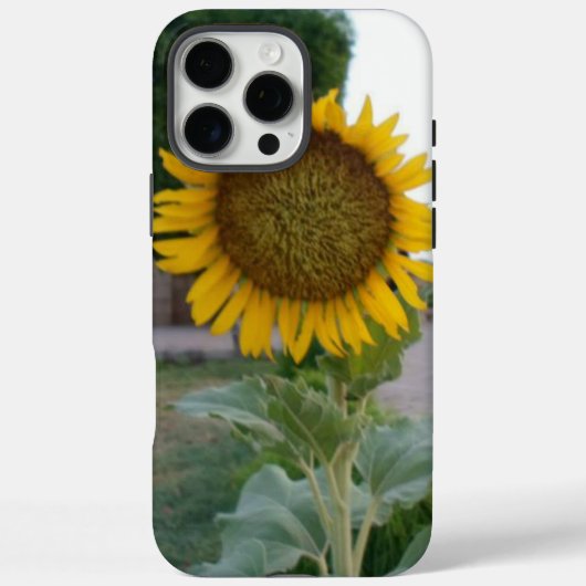 Coques Case-Mate iPhone Tournesol (Verso)