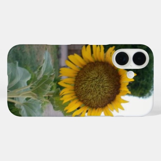 Coques Case-Mate iPhone Tournesol (Verso (horizontal))