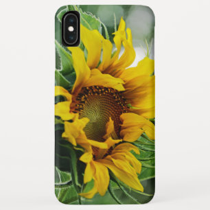 Case-Mate iPhone Case Tournesol