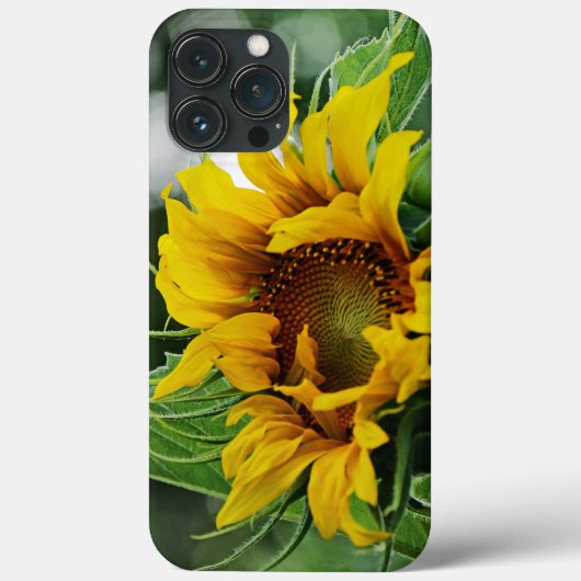 Coques Case-Mate iPhone Tournesol (Verso)
