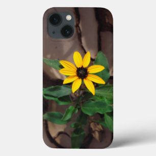 Coques Pour iPhone Tournesol de boue craquée