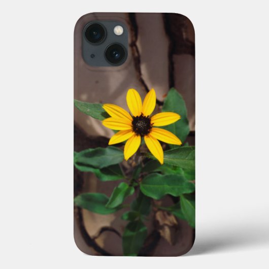 Coques Case-Mate iPhone Tournesol de boue craquée (Verso)