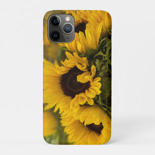 Case-Mate iPhone Case Tournesol doré Chaud Personnalisé