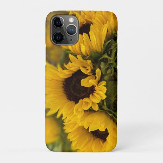 Coques Case-Mate iPhone Tournesol doré Chaud Personnalisé (Dos)