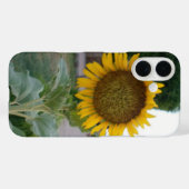 Coques Case-Mate iPhone Tournesol Naturel à Couper le Souffle | Rayonnemen (Verso (horizontal))