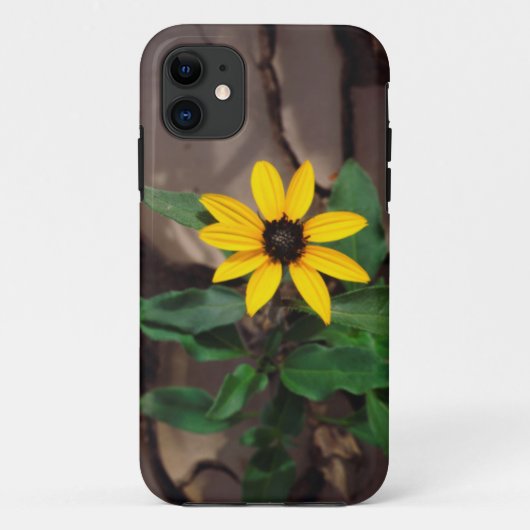 Coques Case-Mate iPhone Tournesol poussant de boue fissurée (Dos)