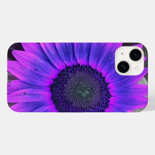Coques Case-Mate iPhone Tournesol rose N violet (Verso (horizontal))