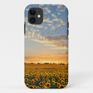 Etui iPhone Case-Mate Tournesols au coucher du soleil