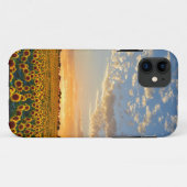 Coques Case-Mate iPhone Tournesols au coucher du soleil (Dos (Horizontal))