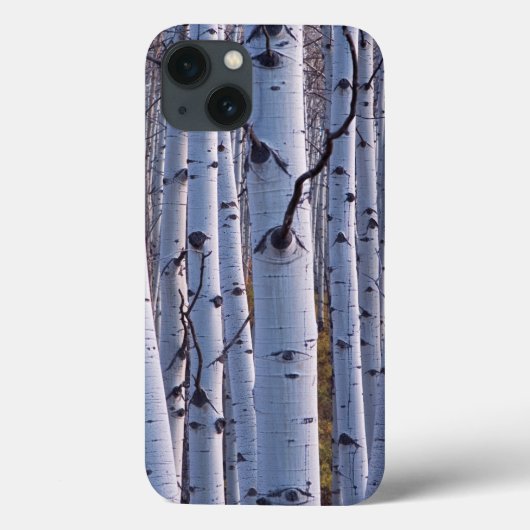 Coques Case-Mate iPhone Trembles dans le parc national de Gunnison (Verso)