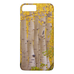 Etui iPhone Case-Mate Trembles d'automne dans le col de Kebler au Colora