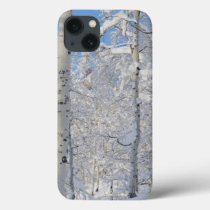 iPhone 13 Coque Trembles enneigés, Beartrap-Desolation Ridge