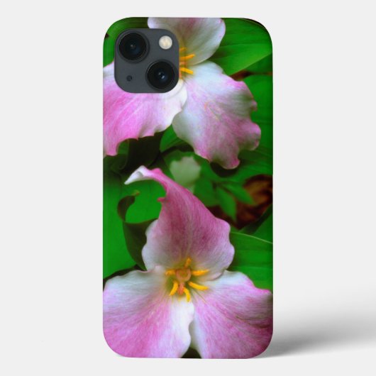 Coques Case-Mate iPhone Trillium fleur sauvage (Verso)