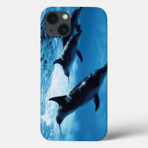 iPhone 13 Case Trio de dauphins
