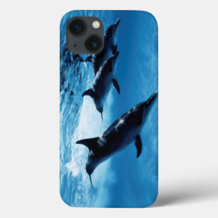 Coques Pour iPhone Trio de dauphins