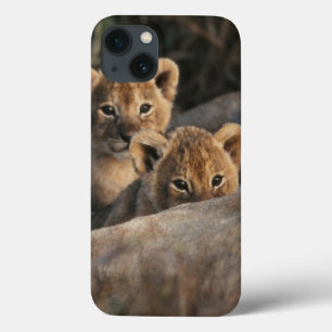 Etui iPhone 13 Trio de vieux se reposer de six semaines de petits