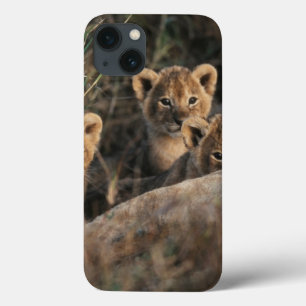 Etui iPhone 13 Trio de vieux se reposer de six semaines de petits