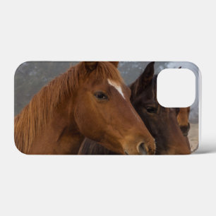 Case-Mate iPhone Case Triplets de chevaux