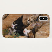 Coques Case-Mate iPhone Trois Cute Curieux Chat Kittens Visages Drôle Phot (Dos (Horizontal))