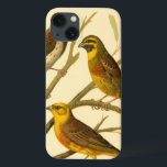 iPhone 13 Coque Trois oiseaux domestiques perchés sur une branche<br><div class="desc">L'artiste W. Rutledge saisit parfaitement les couleurs vives de ces oiseaux domestiques. Obtenez cette peinture simple mais joliment réaliste. Vue latérale de deux oiseaux jaunes et d'un oiseau plus foncé sur une branche et regardant dans des directions différentes.</div>