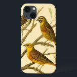 Coques Pour iPhone Trois oiseaux domestiques perchés sur une branche<br><div class="desc">L'artiste W. Rutledge saisit parfaitement les couleurs vives de ces oiseaux domestiques. Obtenez cette peinture simple mais joliment réaliste. Vue latérale de deux oiseaux jaunes et d'un oiseau plus foncé sur une branche et regardant dans des directions différentes.</div>