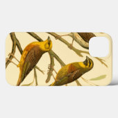Coques Case-Mate iPhone Trois oiseaux domestiques perchés sur une branche (Verso (horizontal))