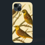Case-Mate iPhone Case Trois oiseaux domestiques perchés sur une branche<br><div class="desc">L'artiste W. Rutledge saisit parfaitement les couleurs vives de ces oiseaux domestiques. Obtenez cette peinture simple mais joliment réaliste. Vue latérale de deux oiseaux jaunes et d'un oiseau plus foncé sur une branche et regardant dans des directions différentes.</div>